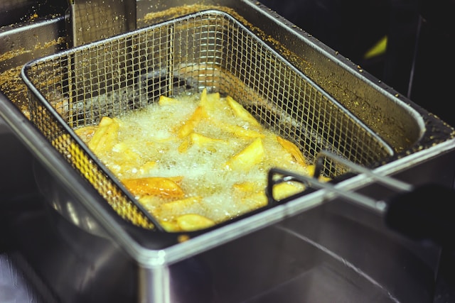 Mengenali Harga Fryer gas dan Penggunaannya